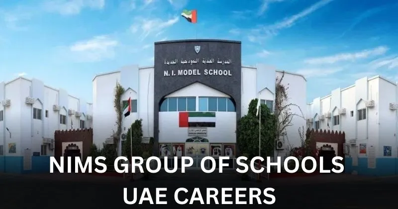 Featured image showing career opportunities at NIMS Group in the UAE.